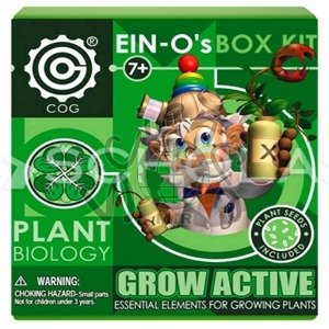 식물의 성장(Grow Active) 식물, 성장