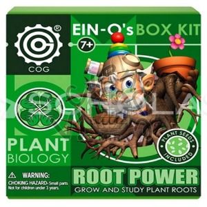 뿌리의 힘(Root Power) 뿌리