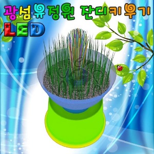 LED 광섬유정원 잔디꾸미기(1인용/5인용)
