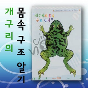 개구리의 몸속 구조 알기(10인용)