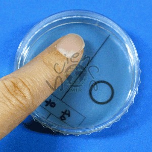 손에있는세균비교검사(5인세트)