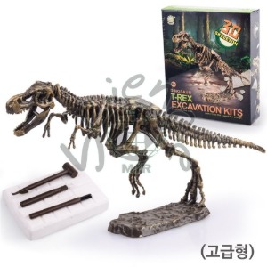 공룡화석발굴키트(대)