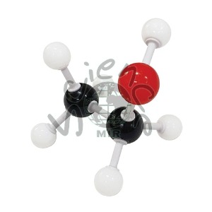 에탄올 분자구조모형조립세트(1세트)