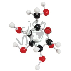 포도당 분자구조모형조립세트(1세트)