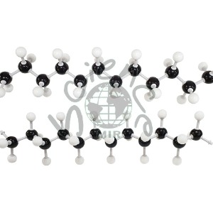 폴리에틸렌 분자구조모형조립세트(1세트)