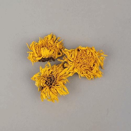 말린국화꽃(10g,약 50개입)