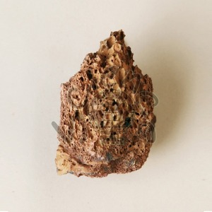 화산암석조각(MIR-0492)