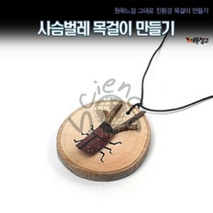 사슴벌레 목걸이 만들기 단체용 - 10개이상판매