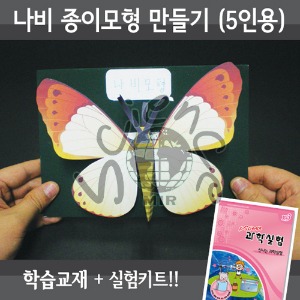 나비모형만들기(5인용세트)