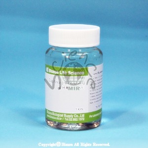물벼룩 100ml (Daphnia Plux)