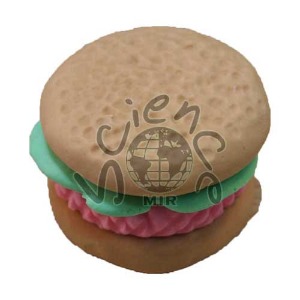 햄버거비누 만들기KIT(Hamburger Soap Kit)