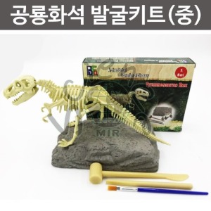 공룡화석발굴키트(중)