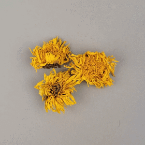말린국화꽃(10g,약 50개입)