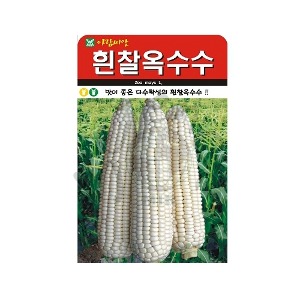 옥수수씨앗(흰찰옥수수)(30g)